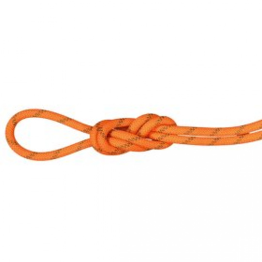 Lano Mammut 8.0 Alpine Dry Rope